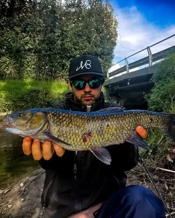 Demon Xlite J occhiali pesca blu polarizzati