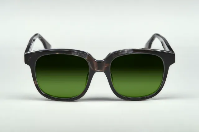 Lesca La Collection Vian montatura da vista Marbré Gris acetato